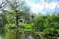 Japanese Garden in bloom